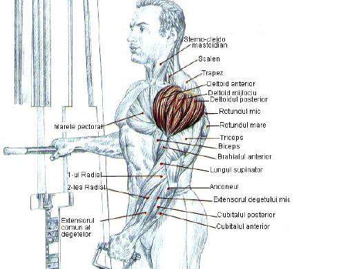 Extensii in lateral la helcometru