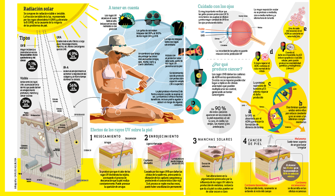 9 alimente care construiesc mușchi pentru a le păstra în frigider în orice moment